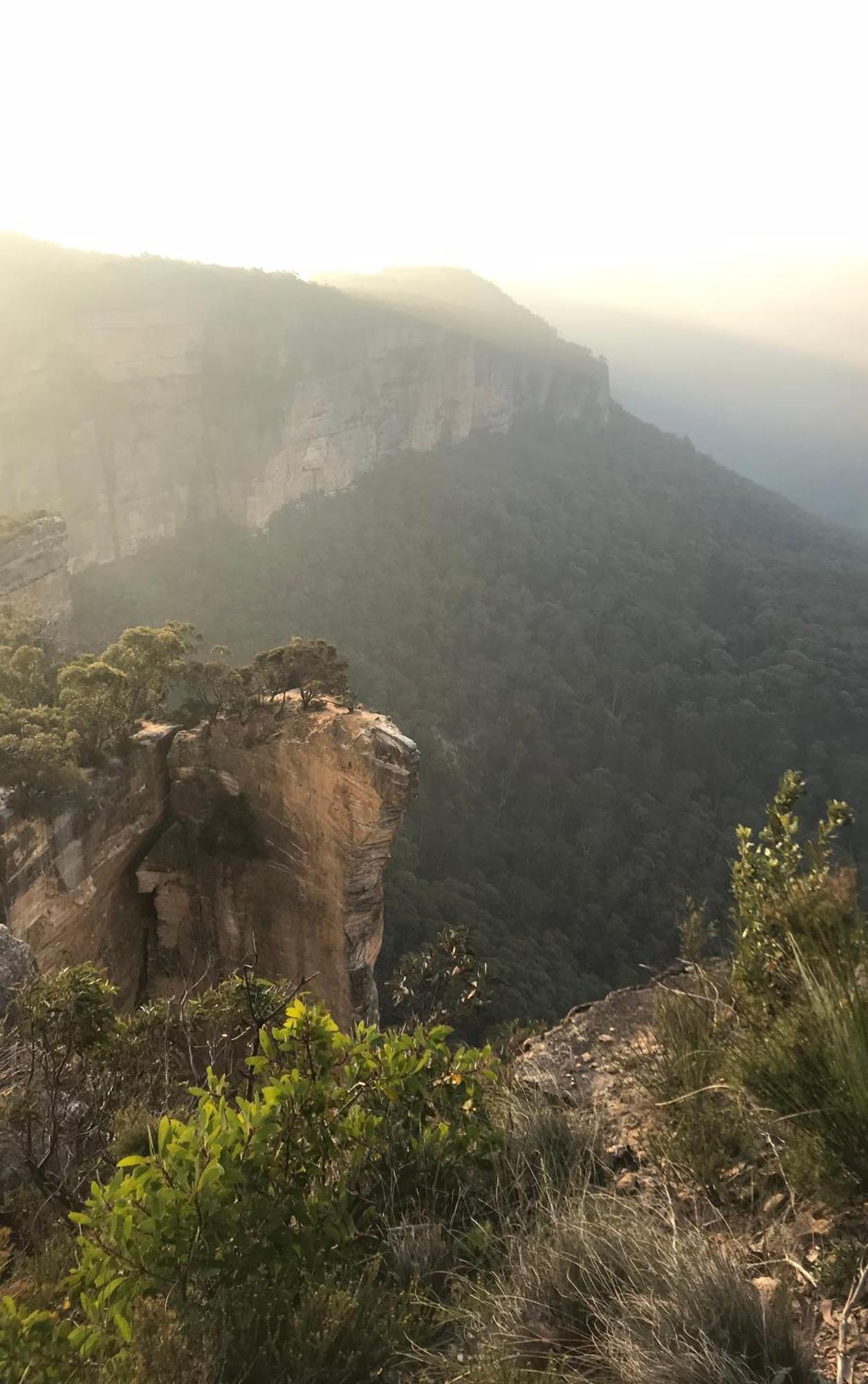 Flying Fox Backpackers Hostel Katoomba Εξωτερικό φωτογραφία