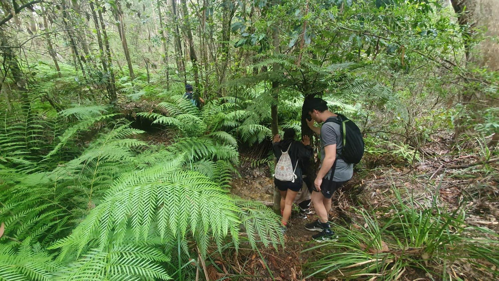 Flying Fox Backpackers Hostel Katoomba Εξωτερικό φωτογραφία