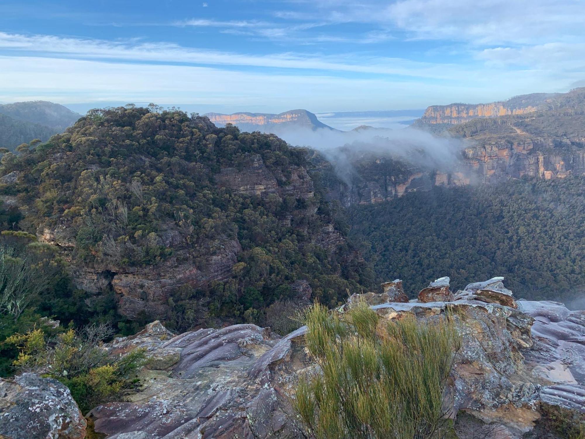 Flying Fox Backpackers Hostel Katoomba Εξωτερικό φωτογραφία
