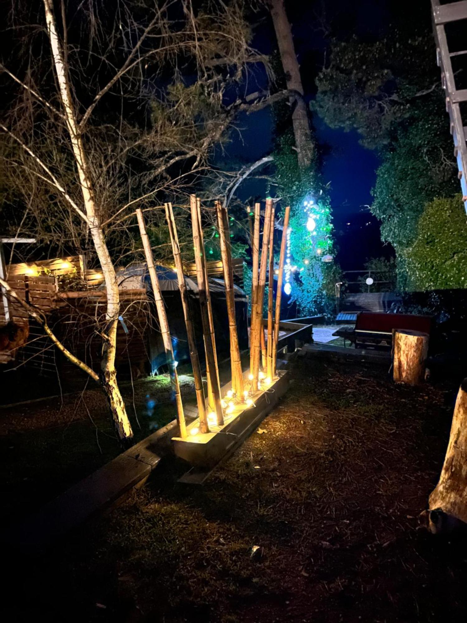 Flying Fox Backpackers Hostel Katoomba Εξωτερικό φωτογραφία